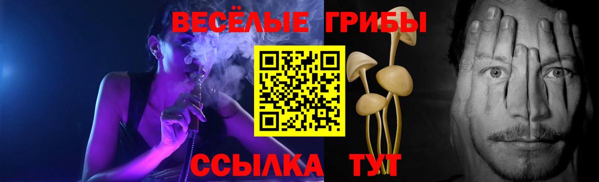 Галлюциногенные грибы Cubensis  магазин продажи наркотиков  Ртищево  Вход с VPN 