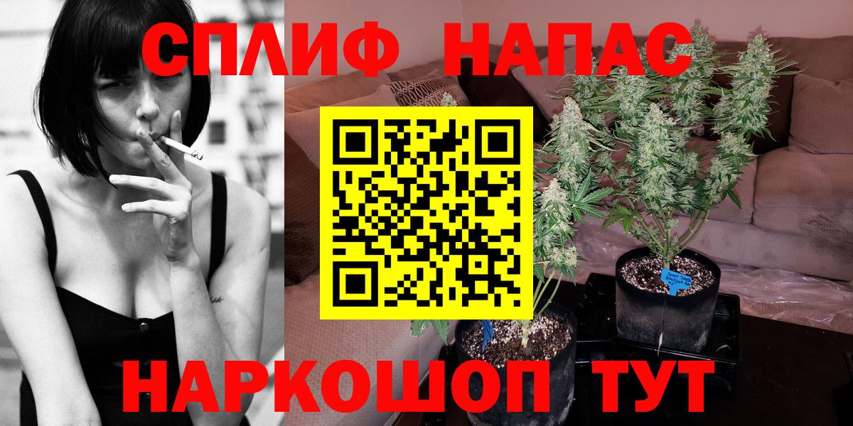 Шишки марихуана ГИДРОПОН  Вход с VPN  Ртищево  Каннабис конопля  Канабис конопля 